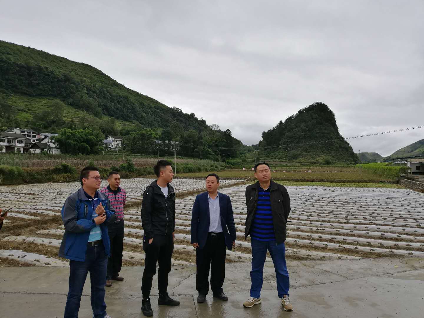 岳应权副校长一行实地考察遵义成丰蔬菜专业合作社蔬菜种植情况
