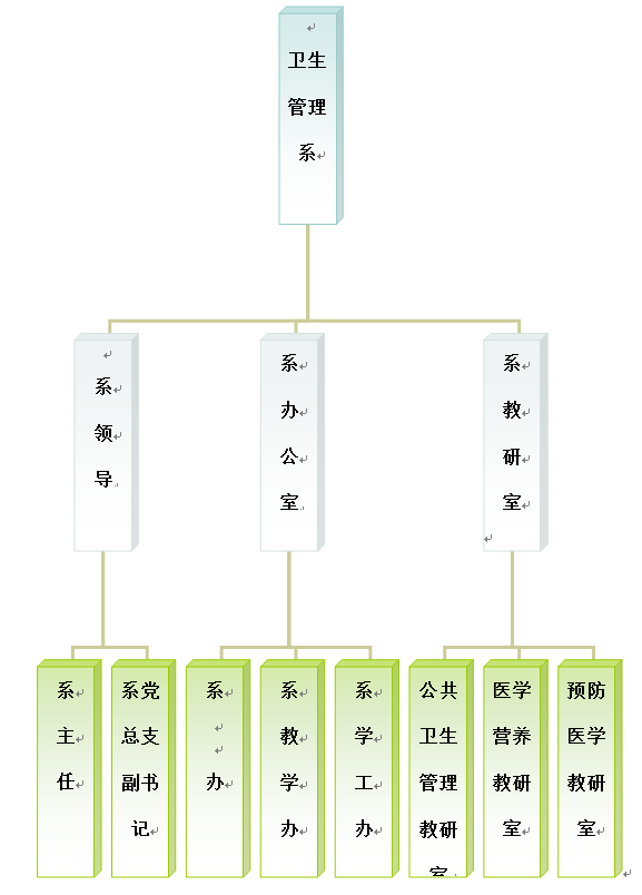 卫生管理系组织机构示意图
