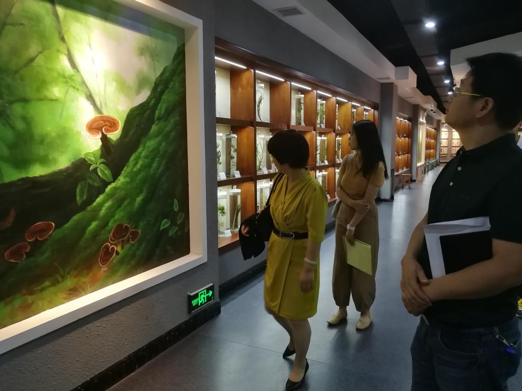 参观中药标本馆